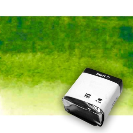 Acuarela Artist Start 124 Verde vejiga