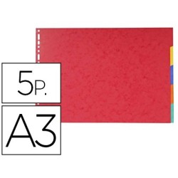 Separadors cartolina brillant 5 separadors A3 apaïsat multitaladre